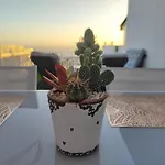 Aloha Garden Paradise View * 阿德耶