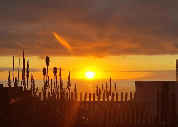 Aloha Garden Paradise View Lejlighed *